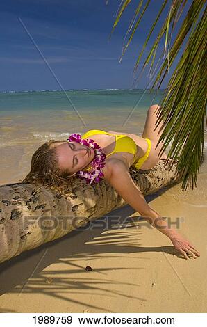 Stock Photo - Hawaii, Oahu, Beautiful Young Woman Laying On A Palm Tree On A Tropical Beach.. Fotosearch