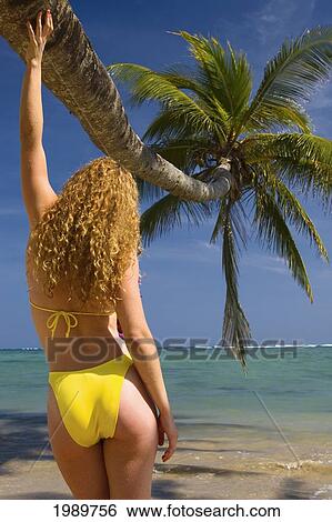 Stock Photograph - Hawaii, Oahu, Beautiful Young Woman Hanging Onto A Palm Tree On A Tropical Beach, View From Behind.. Fotosearch