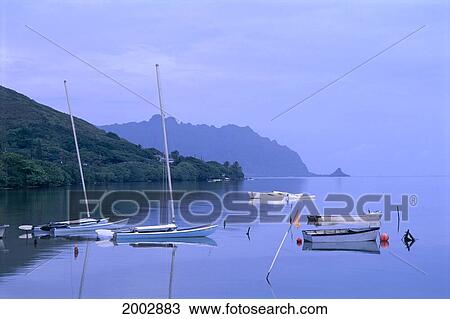 Hawaii, Oahu, Boats Moored In Kaneohe Bay At Early Morning Mountains Background, Reflections View Large Photo Image Stock Image - Hawaii, Oahu, Boats Moored In Kaneohe Bay At Early Morning Mountains Background, Reflections. Fotosearch