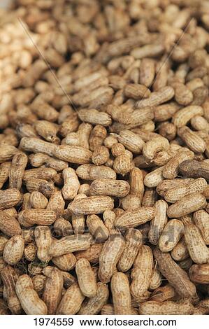 Hawaii, Oahu, Chinatown, Bunch Of Raw Peanuts. View Large Photo Image Stock Photo - Hawaii, Oahu, Chinatown, Bunch Of Raw Peanuts.. Fotosearch