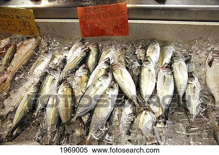 Stock Photography - Hawaii, Oahu, Chinatown, Fresh Akule Fish For Sale In Chinatown Honolulu Market. Fotosearch