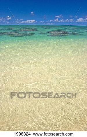Hawaii, Oahu, Clear Ocean Water, Coral, Tropics View Large Photo Image Picture - Hawaii, Oahu, Clear Ocean Water, Coral, Tropics. Fotosearch