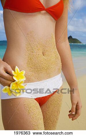 Hawaii, Oahu, Close-Up of belly Covered In Sand; Lanikai, Woman Holding Plumeria Flowers on beach View Large Photo Image Stock Image - Hawaii, Oahu, Close-Up of belly Covered In Sand; Lanikai, Woman Holding Plumeria Flowers on beach. Fotosearch