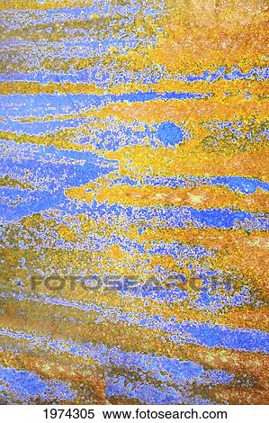 Stock Photography - Hawaii, Oahu, Close-Up Of Coconut Palm Tree Bark Texture.. Fotosearch