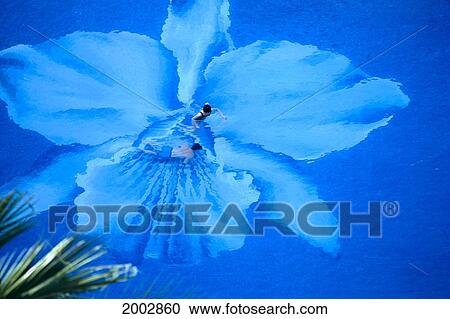 Hawaii, Oahu, Close-Up Of Halekulani Pool, Center Hibiscus Design Couple View From Above View Large Photo Image Stock Image - Hawaii, Oahu, Close-Up Of Halekulani Pool, Center Hibiscus Design Couple View From Above. Fotosearch