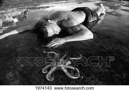 Stock Image - Hawaii, Oahu, Day Octopus (Octopus Cyanea) Sitting In Shallow Water With Male Model In The Background.. Fotosearch