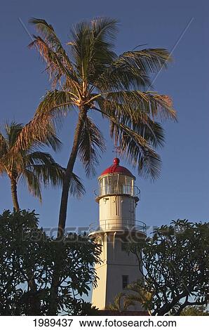 Stock Photo - Hawaii, Oahu, Diamond Head Lighthouse Framed With Palm Trees In The Morning Light.. Fotosearch