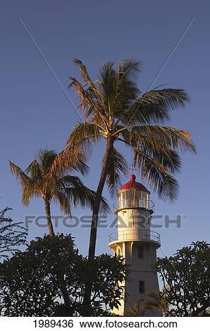 Stock Photograph - Hawaii, Oahu, Diamond Head Lighthouse Framed With Palm Trees In The Morning Light.. Fotosearch