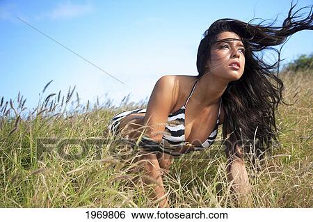 Hawaii, Oahu, Female Model With Flowing Hair In A Zebra Print Bikini In A Field Of Long Grass. View Large Photo Image Stock Photograph - Hawaii, Oahu, Female Model With Flowing Hair In A Zebra Print Bikini In A Field Of Long Grass.. Fotosearch