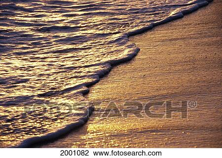 Hawaii, Oahu, Golden Reflections Shoreline Sand, Foamy Texture Detail Receding Motion View Large Photo Image Stock Image - Hawaii, Oahu, Golden Reflections Shoreline Sand, Foamy Texture Detail Receding Motion. Fotosearch