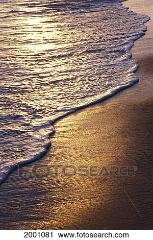 Stock Image - Hawaii, Oahu, Golden Sunset Reflections On Ocean Shoreline And Sand, Foamy Detail Receding. Fotosearch