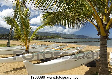 Stock Photograph - Hawaii, Oahu, Haleiwa, Row Of Outrigger Canoes On Beach.. Fotosearch