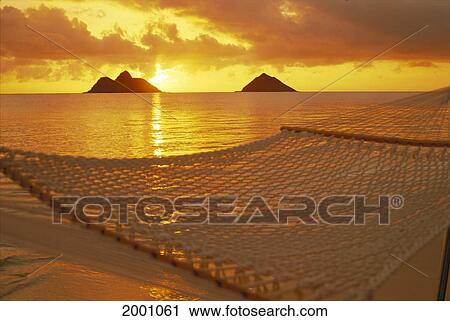 Hawaii, Oahu, Hammock Along Shoreline Sunrise, Mokulua Islands Distance Golden Light View Large Photo Image Stock Image - Hawaii, Oahu, Hammock Along Shoreline Sunrise, Mokulua Islands Distance Golden Light. Fotosearch
