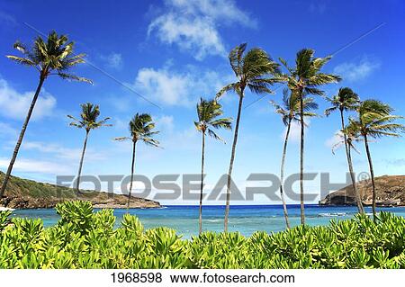 Stock Photo - Hawaii, Oahu, Hanauma Bay Nature Preserves. Fotosearch