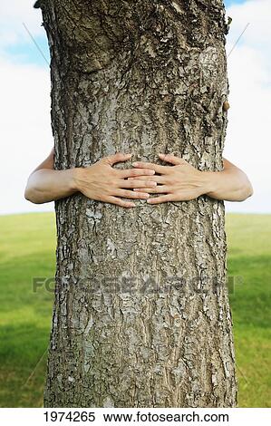 Stock Photography - Hawaii, Oahu, Hands Around The Trunk Of A Tree.. Fotosearch