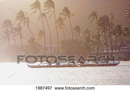 Stock Photo - Hawaii, Oahu, Hawaii Kai, Silhouette Of Men In Outrigger Canoe At Hui Nalu Practice, Afternoon Lighting, Palm Trees In Background. No Model Release. Fotosearch