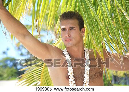 Hawaii, Oahu, Headshot Of A European Male Wearing A White Shell Necklace Standing In Front Of A Palm Frond At The Beach. View Large Photo Image Stock Photography - Hawaii, Oahu, Headshot Of A European Male Wearing A White Shell Necklace Standing In Front Of A Palm Frond At The Beach.. Fotosearch