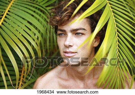 Hawaii, Oahu, Headshot Of Male Looking Out Through Green Palms. View Large Photo Image Picture - Hawaii, Oahu, Headshot Of Male Looking Out Through Green Palms.. Fotosearch