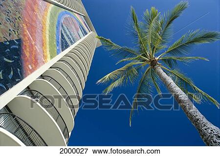 Stock Photo - Hawaii, Oahu, Hilton Hawaiian Village, Rainbow Tower With Palm Tree And Blue Sky C1573. Fotosearch