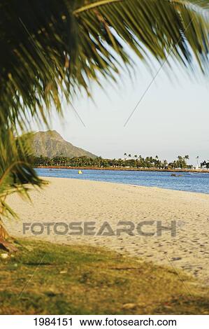 Hawaii, Oahu, Honolulu, Ala Moana Beach Park, View Of Diamond Head Beyond Sandy Beach And Palms. View Large Photo Image Stock Image - Hawaii, Oahu, Honolulu, Ala Moana Beach Park, View Of Diamond Head Beyond Sandy Beach And Palms.. Fotosearch