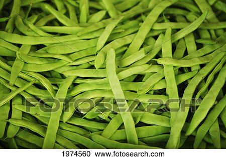 Stock Image - Hawaii, Oahu, Honolulu, Chinatown, Close-Up Of String Beans.. Fotosearch