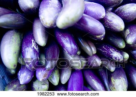Hawaii, Oahu, Honolulu, Chinatown, Close-up of a pile of purple eggplant View Large Photo Image Stock Image - Hawaii, Oahu, Honolulu, Chinatown, Close-up of a pile of purple eggplant. Fotosearch