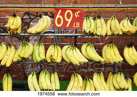 Stock Photo - Hawaii, Oahu, Honolulu, Chinatown, Bunches Of Hanging Bananas For Sale/N.. Fotosearch