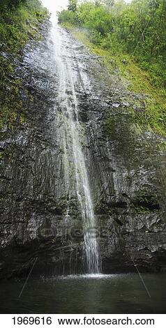 Stock Photograph - Hawaii, Oahu, Honolulu, Manoa Falls, Waterfall Cascading Down Into A Waterfall Pool.. Fotosearch