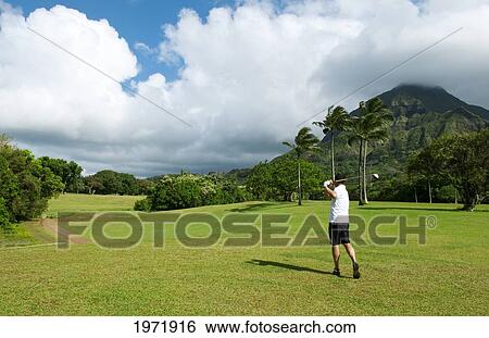 Stock Photograph - Hawaii, Oahu, Honolulu, Pali Golf Course, A Local Golfer Swings At The Fifth Hole.. Fotosearch