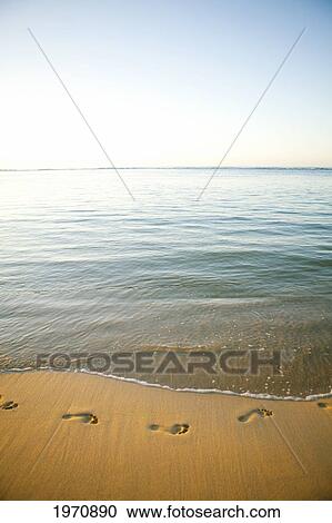 Stock Image - Hawaii, Oahu, Kahala Beach, Footprints In The Sand. Fotosearch