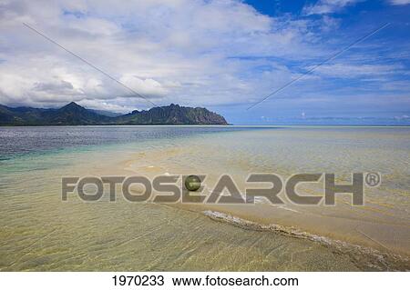 Stock Image - Hawaii, Oahu, Kaneohe Bay, Green Glass Float Ball On The Sandbar. Fotosearch