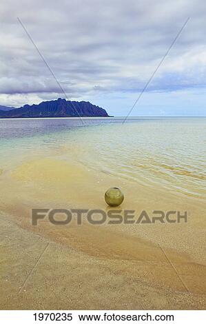 Stock Photography - Hawaii, Oahu, Kaneohe Bay, Green Glass Float Ball On The Sandbar. Fotosearch
