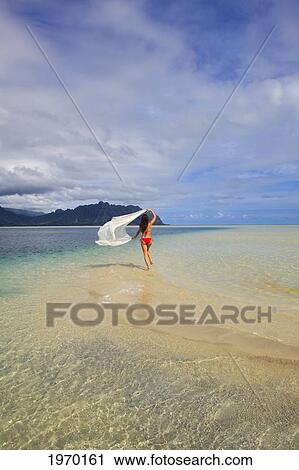 Hawaii, Oahu, Kaneohe Bay, Woman With Chiffon On The Sandbar View Large Photo Image Stock Image - Hawaii, Oahu, Kaneohe Bay, Woman With Chiffon On The Sandbar. Fotosearch