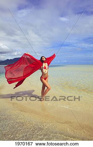 Hawaii, Oahu, Kaneohe Bay, Woman With Chiffon On The Sandbar View Large Photo Image Stock Photo - Hawaii, Oahu, Kaneohe Bay, Woman With Chiffon On The Sandbar. Fotosearch