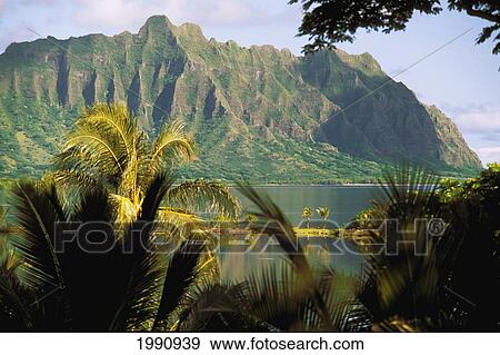Hawaii, Oahu, Kaneohe Fishponds At Heeia Area, Mountain In Background View Large Photo Image Stock Photo - Hawaii, Oahu, Kaneohe Fishponds At Heeia Area, Mountain In Background. Fotosearch