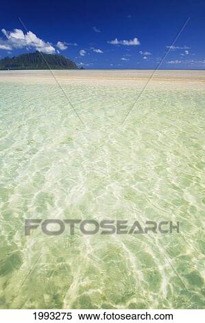 Hawaii, Oahu, Kaneohe Sandbar With Kualoa In The Back Ground View Large Photo Image Stock Photography - Hawaii, Oahu, Kaneohe Sandbar With Kualoa In The Back Ground. Fotosearch