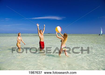 Hawaii, Oahu, Kaneohe, Young People Playing With Beach Ball In Crystal Clear Water At The Sandbar Or Dissapearing Island View Large Photo Image Stock Photo - Hawaii, Oahu, Kaneohe, Young People Playing With Beach Ball In Crystal Clear Water At The Sandbar Or Dissapearing Island. Fotosearch