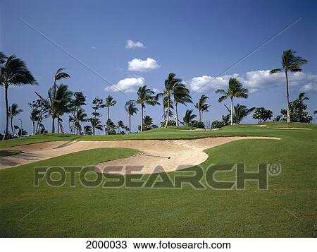 Hawaii, Oahu, Kapolei, Ko'olina Golf Club Sand Trap Rake Palms Along Horizon Clouds D1292 View Large Photo Image Stock Image - Hawaii, Oahu, Kapolei, Ko'olina Golf Club Sand Trap Rake Palms Along Horizon Clouds D1292. Fotosearch
