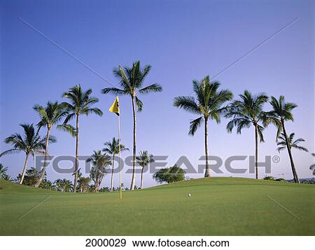 Hawaii, Oahu, Kapolei, Ko'olina Golf Club Shot, Ground Level Flag Green Ball Palms View Large Photo Image Stock Photo - Hawaii, Oahu, Kapolei, Ko'olina Golf Club Shot, Ground Level Flag Green Ball Palms. Fotosearch