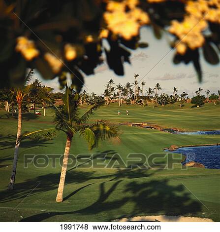 Stock Photo - Hawaii, Oahu, Ko Olina Golf Club, Kapolei, Golfers On Fairway. Fotosearch