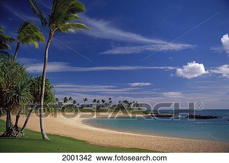 Stock Image - Hawaii, Oahu, Ko'olina Beach Lagoon Scene With Palm Trees, People Distance Blue Sky. Fotosearch