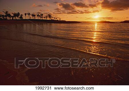 Stock Image - Hawaii, Oahu, Ko'olina Resort, Sunset Over Ocean, Palm Trees.. Fotosearch