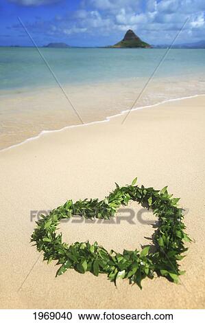 Stock Image - Hawaii, Oahu, Kualoa, Heart Shaped Maile Lei On The Beach With Chinamans Hat In Background. Fotosearch