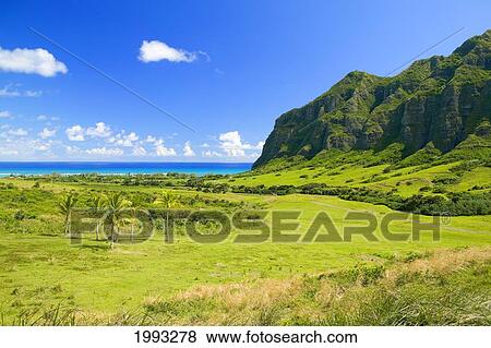 Stock Photo - Hawaii, Oahu, Kualoa Ranch, Mountains And Ocean In Distance. Fotosearch