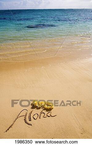 Stock Image - Hawaii, Oahu, Lanikai Beach, Aloha Written In The Sand With Yellow Plumeria Lei, Turquoise Ocean. Fotosearch