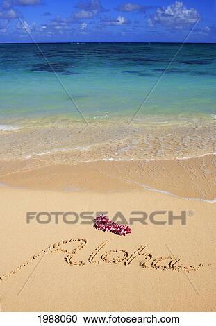 Hawaii, Oahu, Lanikai Beach Aloha Written In The Sand With Orchid Lei, Turquoise Ocean View Large Photo Image Stock Image - Hawaii, Oahu, Lanikai Beach Aloha Written In The Sand With Orchid Lei, Turquoise Ocean. Fotosearch