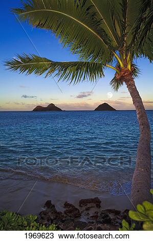 Hawaii, Oahu, Lanikai Beach At Sunrise. View Large Photo Image Stock Image - Hawaii, Oahu, Lanikai Beach At Sunrise.. Fotosearch