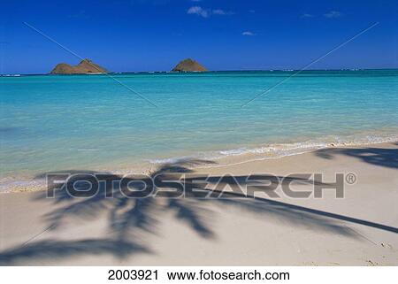 Hawaii, Oahu, Lanikai Beach, Palm Shadows On White Sand, Turquoise Ocean View Large Photo Image Stock Image - Hawaii, Oahu, Lanikai Beach, Palm Shadows On White Sand, Turquoise Ocean. Fotosearch