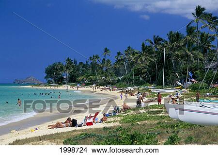 Picture - Hawaii, Oahu, Lanikai Beach, People, Palm Trees. Fotosearch