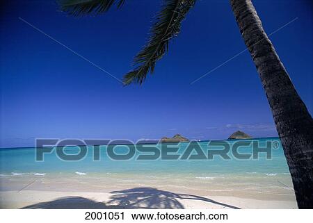 Stock Image - Hawaii, Oahu, Lanikai Beach Shoreline Palm And Shadow White Sand, Calm Ocean Mokulua Islands Distant Background Blue Sky Boat Between Along Horizon. Fotosearch